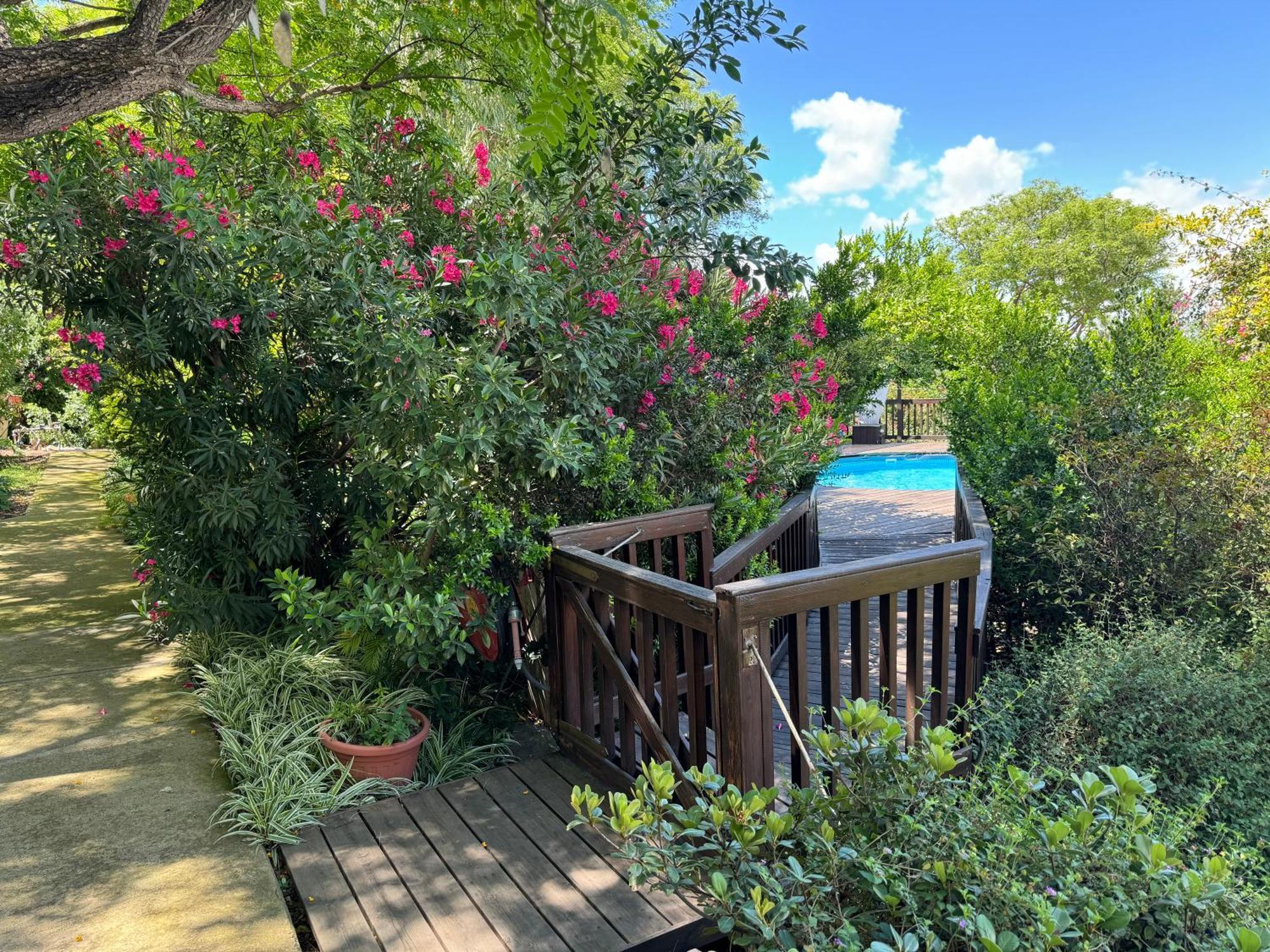 אמיתי נוף קסום Villa Ramot Dış mekan fotoğraf